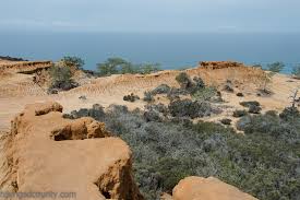 About 1.3 mile via the south fork and 1.4 mile via the north fork down to the beach. Torrey Pines State Natural Reserve Hiking San Diego County