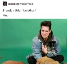 Panic At The Disco All My Friends We Re Glorious Vinyl Pin By Claire On Bands Panic At The Disco Brendon Urie Disco