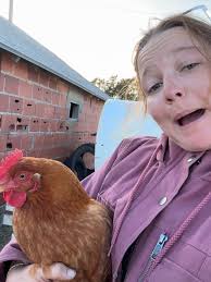 Took my chicken for a little stroll today.🤣 She seemed pretty content. 🐓  I sure do enjoy this little life. 🥰