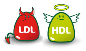 A volte leggiamo un elenco di alimenti e non abbiamo idea di come includerli nella nostra dieta quotidiana. Colesterolo Buono Hdl Come Aumentarlo E Differenze Con Ldl Il Paziente Informato