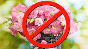 What kind of flowers do you give a new mom. Why You Shouldn T Buy Mom Flowers On Mother S Day Marketwatch
