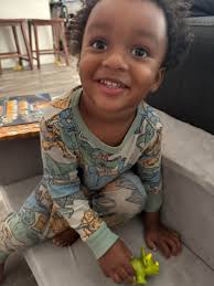 Dinosaur books and documentaries for 4-year-old boy