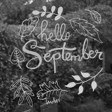 Jetzt einfach die linien mit dem kreidemarker nachzeichnen. September Herbst Herbst Herbst Kreide Marker Fenster Zeichnung Fensterdekoration Kinder Diy Dekorations Trends Fensterbilder Herbst Malen Fenster Kunst Kreidezeichnungen