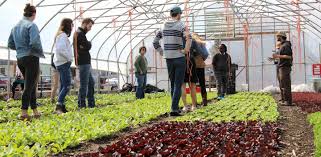 We are seeking to appoint an experienced lecturer in horticulture with specialist knowledge of study. Degrees And Programs Horticulture Cals