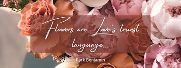 It is the second largest city in the state and is divided into two. Fancies Flowers Gifts Home Facebook