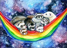 The Cosmic Rainbow Hammock Cute Ferrets Animal Art Art