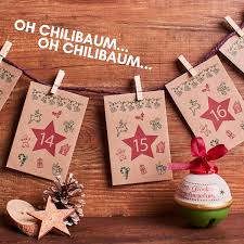 Der garten + landschaft adventskalender dreht sich rund um die landschaftsarchitektur in all ihren facetten. Saatgut Adventskalender 2021 I Ubersicht I Bestenliste