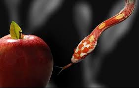 Kết quả hình ảnh cho Làm gương xấu