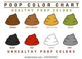 Image result for dark black stool human poop