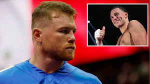 Classical and Medieval Literature Criticism Vol 20 CMLC|Zoran Minderovic.