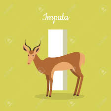 Discover the 12 weirdest animal names, from the screaming hairy armadillo to the sarcastic fringehead. Animals Alphabet Letter I Brown Impala Stands Near Letter Alphabet Learning Chart With Animal Illustration For Letter And Animal Name Vector Zoo Alphabet With Cartoon Animal On Green Background Royalty Free