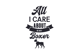 I made this design for my son for daddy and son time but it could be for. All I Care About Is My Boxer Svg Cut Files Free Downloads 7465997 Svg Cut Files
