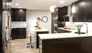 In fact during that period, while working for a model home merchandising firm, i was always doing my best to select the darker stained cabinets and floors to go with the color scheme in the model. Fabuwood Allure Galaxy Espresso Kitchen Cabinets Tiles Nj Art Of Kitchen Tile