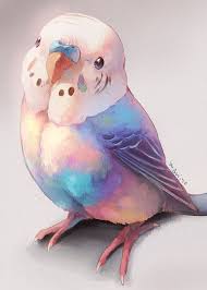 Beautiful Watercolour Art Budgie Art Parrots Cute Animal Drawings Animal Illustration Cute Birds