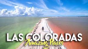 Here's what you need to know before going to las coloradas in the finding pink lakes in mexico: Las Coloradas Yucatan The Rainbow Salt Flats Of Mexico Youtube
