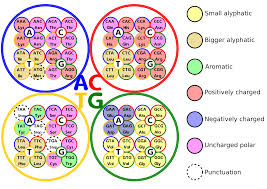 File:"Flowerbed" table of genetic code.png - Wikimedia Commons