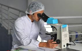 Food scientists improve food quality and packaging and originate new food products. 6 Food Science Careers That Could Be A Recipe For Success Total Food Service