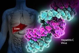 Хронический гепатит в и d. Hepatitis C Hep C Symptoms Treatments Antivirals