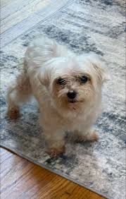 Some things never change. Fergie's still after the soap in our new house.