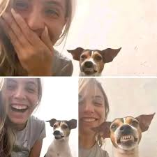 Si ADOPTARAN en vez de comprar y ESTERILIZARAN en vez de abandonar, habría  MENOS perritos en la calle.