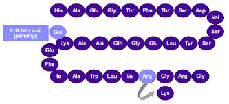 Saxenda Liraglutide Rdna Origin Injection Drug