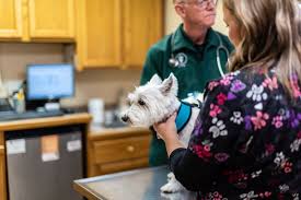 THE PET HOSPITAL & PET MOTEL