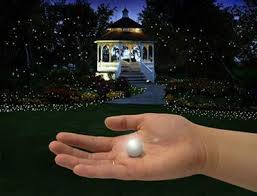 Faiery Berry Lights For 0 63 Must Buy 600 Fairy Berries Save On Crafts Floating In Water