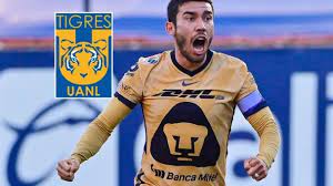 In the current club pumas played 2 seasons, during this time he played 47 matches and scored 7 goals. Dtwdgwwuqmi06m
