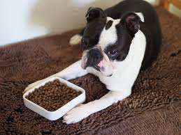 Not that i care how big she gets, but wanted a dog to protect my family while i'm on the road. How Many Calories Does My Dog Need Calorie Calculator Pet Keen