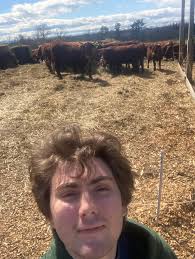 Good laptops for Ableton 10 live suite??