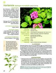 Kräuter für garten und balkon: Seite 337 In Die Krauter In Meinem Garten Web Books Im Austria Forum