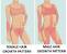 Female Body Hair Stomach