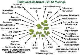 Moringa Tree The Miracle Tree Superfood Smart Food