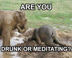Image result for funny meditation
