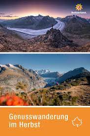 vom bettmerhorn zur riederalp schweiz schwarzwald tourismus tourismus schweiz tourismus