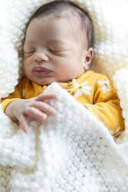 North Dakota Photographer — Blog — Desiree Menk Photography