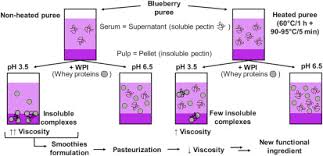 Study Of The Interactions Between Pectin In A Blueberry