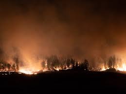 It's a productreview 2019 award winner and has also been tested by choice. California Wildfires Your Questions Answered Capradio Org
