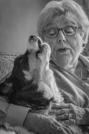 Aging Project Tech — Jan Armor