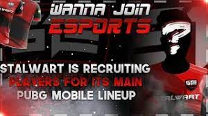 Get Sponsored Through Stalwart Esports Recruiting Players For Main Lineup Youtube