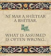 It presents us with an abundance of vocabulary on the ten themes of the new curriculum along with tips and hints regarding verbs, questions, feelings, small. 150 Irish I Spoke It Better Ideas Irish Irish Language Irish Gaelic
