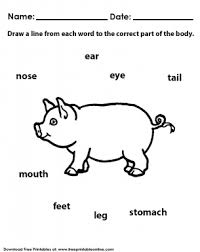 Pin On Kindergarden Worksheets