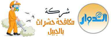 شركة مكافحة حشرات بالجبيل الدوار للخدمات المنزلية Home Decor Decals Home Decor Decor