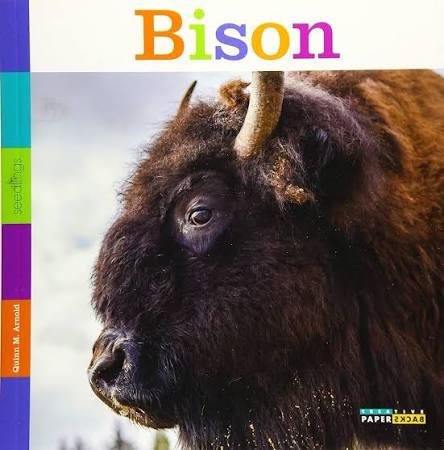 Bison (Seedlings): Arnold, Quinn M.: 9781628323481: Amazon.com: Books
