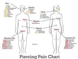 Piercing Pain Charts Which Body Piercings Hurt The Most Bodyj4you
