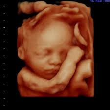 Breana and Austin Yarbrough's Baby Registry at Babylist