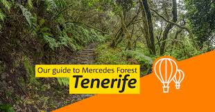 Additional maps for sherborn, dover, medfield and other nearby trails are available at the the trustees of the reservation (www.thetrustees.org). Mercedes Forest Guide