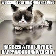Happy 2 year work anniversary cat meme. Working Together That So Long Has Been A True Joyride Happy Work Anniversary Grumpy Cat Office Meme