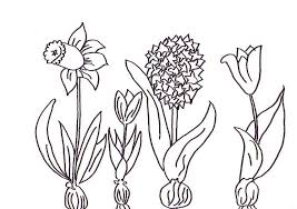 Malvorlagen Fruhlingsblumen Ausmalbilder 2007653 Affefreund Com Ausmalbilder Ausmalen Kostenlose Malvorlagen