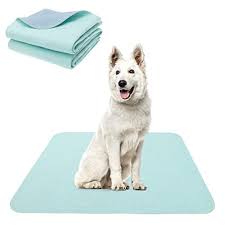 Our team is on hand to listen, advise and help you get your home and garden smelling sweet again. 10 Best Indoor Dog Potties 2021 Review Dog Nerdz